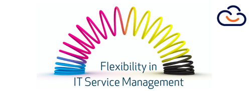 Flexibility ITSM blog